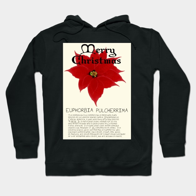 Red Poinsetta Genus Christmas Card Hoodie by DesignsBySaxton